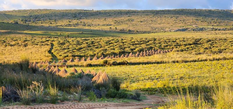 0 Bedroom Property for Sale in Stilbaai Rural Western Cape